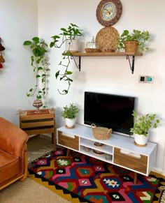 a living room filled with furniture and lots of plants on top of the tv stand