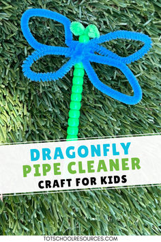 a dragonfly pipe cleaner craft for kids is on the grass with a sign that says, dragonfly pipe cleaner craft for kids