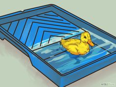 a yellow duck floating in an open blue box with water on the bottom and sides