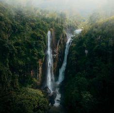 Dreaming of paradise? 🌴✨
Explore the breathtaking beauty of Sri Lanka and make 2025 your year of adventure! 🏞️🌊
📍 Where will your next journey take you? 💼
#VisitSriLanka #CleanSriLanka  #Travel2025 #SerendibAdventures #ExploreMore #Wanderlust
📸 Credit to the respective owner.