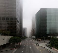 an empty city street with tall buildings in the background on a foggy, overcast day