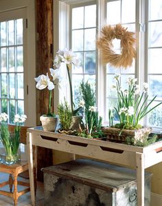 a table with flowers and plants on it in front of two windows, near a bench