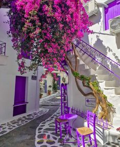 purple flowers are growing on the side of a white building with steps leading up to it