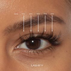 Doe Eye Lash Map, Lash Map For Round Eyes, Lashify Lash Map, Lash Extension Map, Lash Mapping