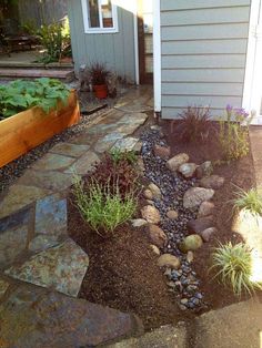 an outdoor garden with rocks and plants in the foreground, next to a house