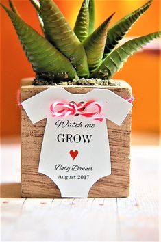 a small potted plant with a baby's t - shirt tag attached to it