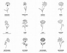 the different types of flowers are shown in black and white, with one line drawn on it