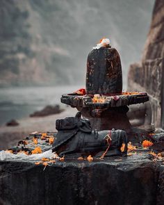 a person sitting on top of a stone bench covered in orange and white flowers next to a body of water