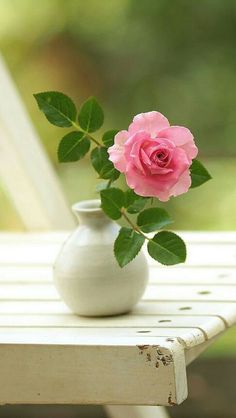 a pink rose in a white vase sitting on a wooden table outside with green leaves