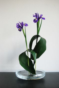 two purple flowers in a glass vase on a table