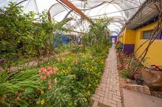 the walkway is lined with flowers and plants