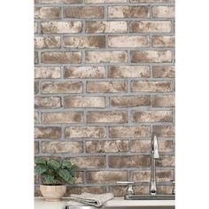 a kitchen sink and counter with a brick wallpaper in the back ground, next to a potted plant