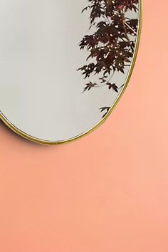 a round mirror hanging on the side of a pink wall next to a potted plant