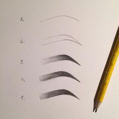 a pencil drawing different types of eyebrows