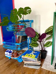 there is a plant and some books on the floor in front of a blue shelf