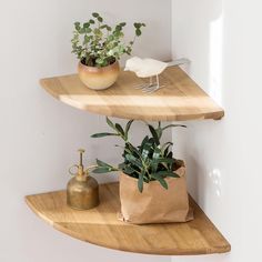 two wooden shelves with plants on them and a bird figurine sitting on top