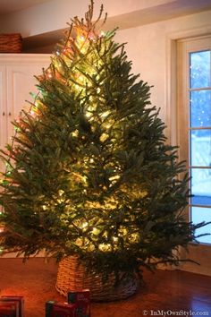 a lit christmas tree in a basket on the floor