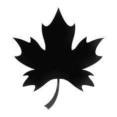 a black and white silhouette of a leaf