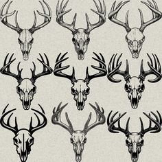 six different types of deer heads with antlers on the back and side, all in black and white