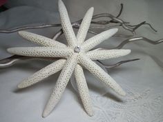 a close up of a starfish on a bed with white sheets and silver wire