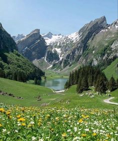 the mountains are covered in snow and green grass with yellow dandelions on them