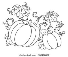 a line drawing of pumpkins and leaves