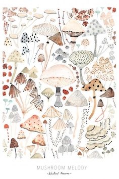 an illustration of mushrooms and plants with the words mushroom melody written in white on it