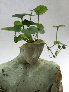 a statue with a plant growing out of it's head