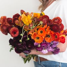 Wholesale Flowers Autumn Ranunculus Mixed Box Burgundy Ranunculus, Purple Ranunculus, Floral Spray Paint, Ranunculus Wedding Bouquet, Red Ranunculus, Bulk Flowers Online, Ranunculus Wedding, Yellow Ranunculus, Flower Moxie