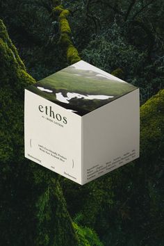 an empty box sitting in the middle of a forest filled with green mossy trees