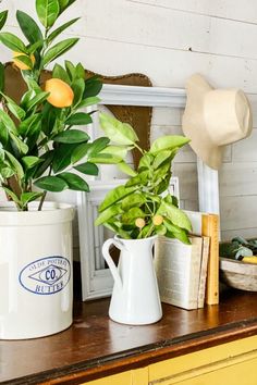 there is a potted plant on top of a dresser next to books and other items