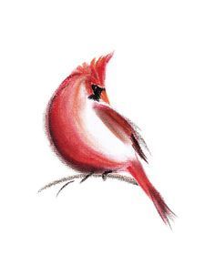 a red bird sitting on top of a tree branch