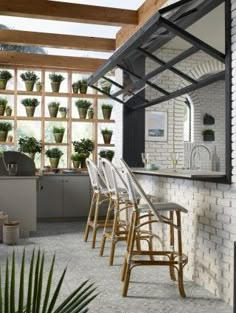 a row of chairs sitting next to each other in front of a kitchen filled with potted plants