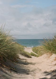 a sandy path leading to the ocean with grass on either side and sand dunes in the foreground