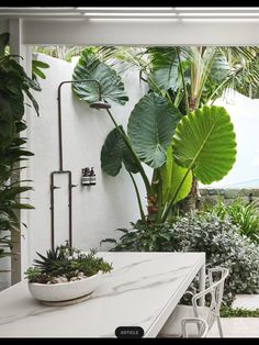 a white table and some plants in a room