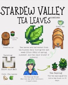 an info sheet describing the different types of tea leaves and how they are used to make them