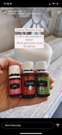 Summer Diffuser Blends, Summer Essential Oils, Eo Blends, Crunchy Mama, Cactus Blossom, Dirty Hippie, Natural Spa, Essential Oil Diffuser Blends Recipes, Young Living Essential Oils Recipes