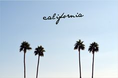 three palm trees with the word california written above them