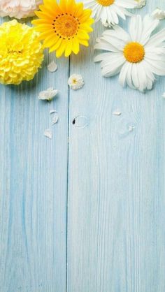 daisies and other flowers on a blue wooden surface