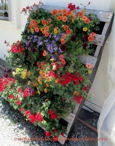 an old ladder is filled with colorful flowers and greenery for the planter box