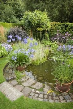 a garden filled with lots of flowers and plants next to a small pond in the middle of