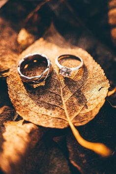 two wedding rings sitting on top of a leaf in the fall leaves, surrounded by fallen leaves