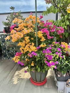 several potted flowers on a wooden table