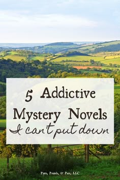 a sign that says, 5 distinctive mystery novels i can't put down