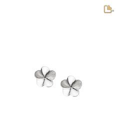 Wear your Love™ with LoveUrns Treasure Bloom Earrings. Composed of Sterling Silver with Rhodium plating, these earrings display delicate blooms, representing the life of your loved one. It is a classic piece of jewelry and is the perfect tribute for your loved one. Dimensions 0.45 H mm These earrings do not hold ashes. White Gold Sterling Silver Flower-shaped Earrings, Sterling Silver Flower-shaped Diamond Earrings As Gift, Flower-shaped Sterling Silver Diamond Earrings With Accents, Silver Flower-shaped Fine Earrings, Silver Flower-shaped Enamel Earrings, Cremation Jewelry, Earring Display, Sterling Silver Studs, Sterling Silver Earrings Studs