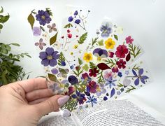 a person is holding an open book with pressed flowers on it and the pages have been cut out