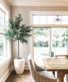 a dining room table with two chairs and a potted plant