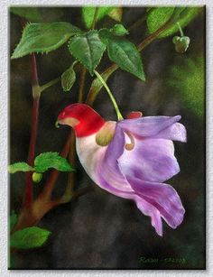 a painting of a hummingbird perched on a flower with green leaves in the background