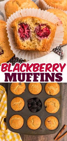 Blackberry Muffins are the perfect snack or breakfast food. These tasty muffins are seasoned with cinnamon and loaded with fresh blackberries. Peanut Butter Oatmeal Muffins, Blackberry Muffins, Mini Blueberry Muffins, Blackberry Muffin, Mini Chocolate Chip Muffins, Banana Blueberry Muffins, Banana Nut Muffins