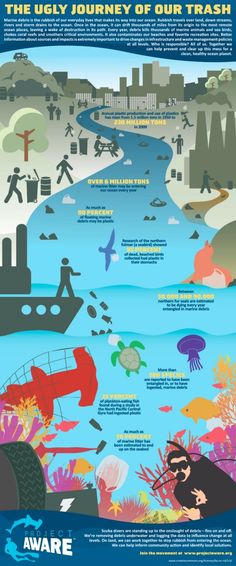 an info poster showing the different types of marine life